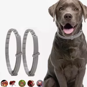 Obojek proti blechám a vší pro velké psy, 70 cm Obojek proti blechám a vší pro velké psy, 70 cm