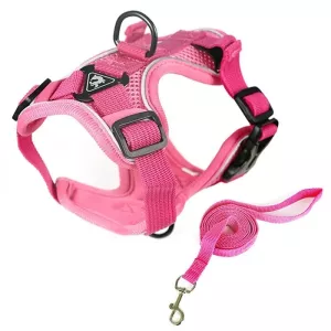 Pet Vest Hrudní Popruh + Vodítko Reflexní, Velikost XL (Růžová) Pet Vest Hrudní Popruh + Vodítko Reflexní, Velikost XL (Růžová)