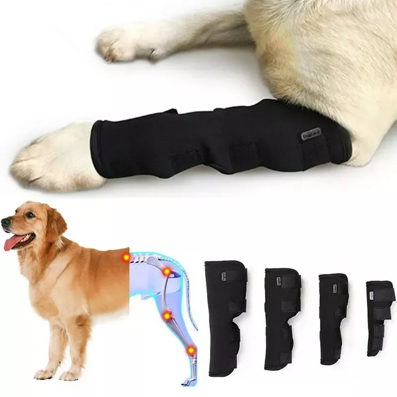DogLemi PD60041 Podpůrná bandáž na nohu pro psy, velikost:M DogLemi PD60041 Podpůrná bandáž na nohu pro psy, velikost:M