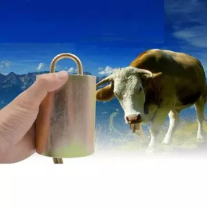 Hlasitá tlustá kravská, koňská a ovčí farmářská zvon roztok, Velikost: S Hlasitá tlustá kravská, koňská a ovčí farmářská zvon roztok, Velikost: S