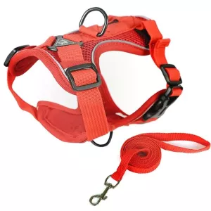Pet Vest Hrudní Popruh + Sada Vodítka Reflexní, Velikost: L (Červená)