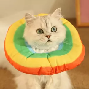 Kočka Elizabeth Obojek pro Koťata, Antilízací Obojek ve Velikosti L (Duhový)