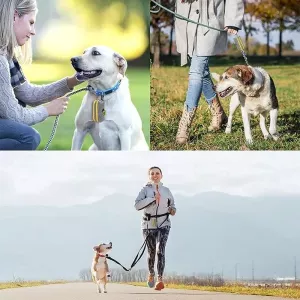 Outdoor Pet Waste Bag - Taška na sběr psího exkrementu (Šedozelená, Dvojitý zip) Outdoor Pet Waste Bag - Taška na sběr psího exkrementu (Šedozelená, Dvojitý zip)
