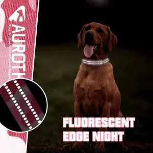 Silikonové pouzdro pro AirTag na obojek pro střední psy, nylonové reflexní proti zamotání, velikost M (černé) TopTechnology