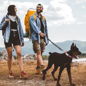 Silikonové pouzdro pro AirTag na obojek pro střední psy, nylonové reflexní proti zamotání, velikost M (černé) TopTechnology