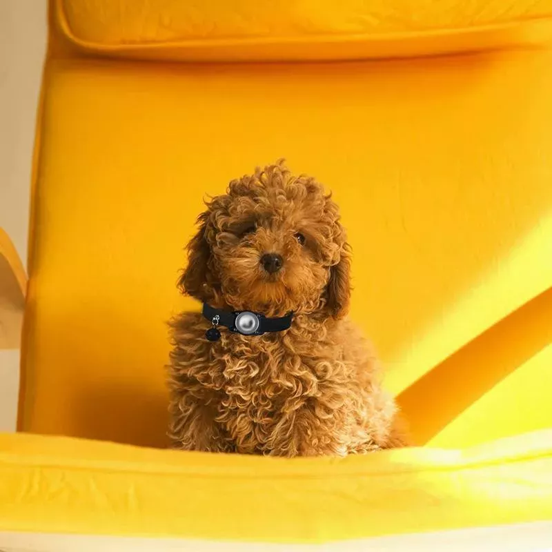 Vodotěsný ochranný obal pro AirTag s koženým obojkem pro domácí mazlíčky (modrý) TopTechnology