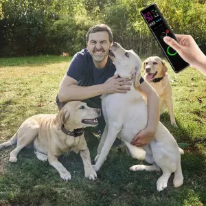 Elektronický obojek pro psy Color Screen Dragon Two s dálkovým ovládáním TopTechnology