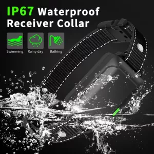 Elektronický obojek pro psy Color Screen Dragon Two s dálkovým ovládáním TopTechnology