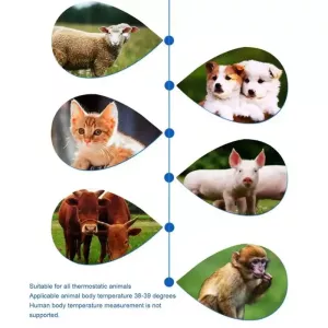 ELOFS EF-07 Digitální teploměr pro psy a kočky s infračerveným měřením (Bílý) TopTechnology ELOFS EF-07 Digitální teploměr pro psy a kočky s infračerveným měřením (Bílý) TopTechnology