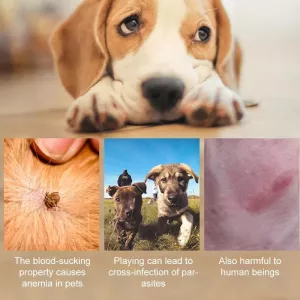 Obojek pro čistění a uklidnění domácích zvířat - 72cm pro velké psy (fialový) TopTechnology Obojek pro čistění a uklidnění domácích zvířat - 72cm pro velké psy (fialový) TopTechnology