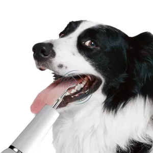 Pet Ultrasonic Teeth Cleaner - Elektrický čistič zubů pro psy a domácí dentální péče (Bílý) TopTechnology Pet Ultrasonic Teeth Cleaner - Elektrický čistič zubů pro psy a domácí dentální péče (Bílý) TopTechnology