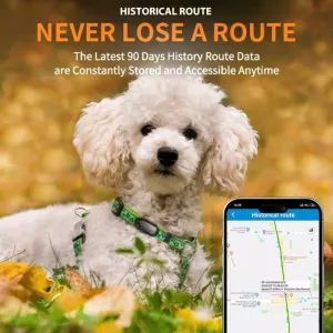 RF-V53 IP67 Vodotěsný GPS obojek pro psy - sledovací zařízení (černé) TopTechnology RF-V53 IP67 Vodotěsný GPS obojek pro psy - sledovací zařízení (černé) TopTechnology