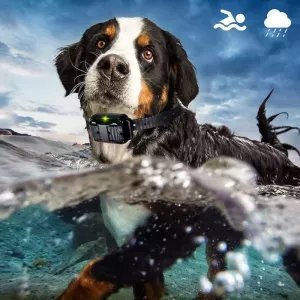 800m Bezdrátový trenér psa - Vibrační obojek s inteligentním ovládáním TopTechnology 800m Bezdrátový trenér psa - Vibrační obojek s inteligentním ovládáním TopTechnology