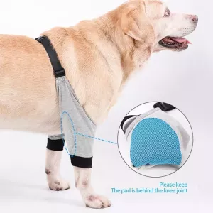 Bederní chránič pro psy, prodyšný, kolenní chránič, přední noha, velikost: L (šedá černá) TopTechnology