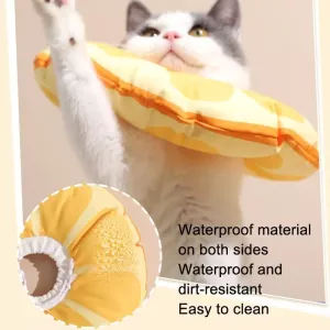 Lze použit Cat Elizabeth Collar pro koťata - Obojky proti olizování, velikost L (Duha) TopTechnology Lze použit Cat Elizabeth Collar pro koťata - Obojky proti olizování, velikost L (Duha) TopTechnology