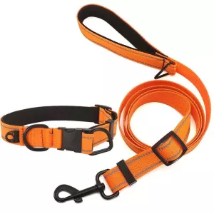Reflexní obojek pro psa s voděodolnou tkaninou a černou sponou + 1,8m vodítko, Velikost: L (oranžový)