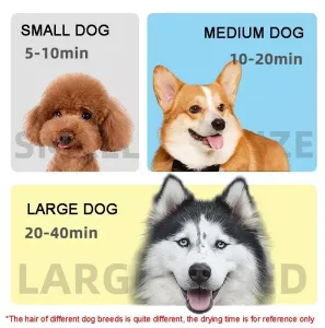 2100W vysoušeč psí srsti s variabilními otáčkami a vysavačem 220V EU Plug (Černý) TopTechnology 2100W vysoušeč psí srsti s variabilními otáčkami a vysavačem 220V EU Plug (Černý) TopTechnology