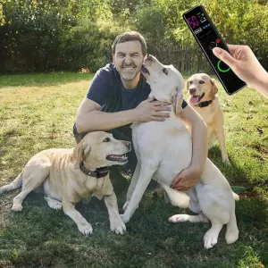 Color Screen Remote Control Pet Electric Shock Circular Dog Trainer (Černý) TopTechnology Color Screen Remote Control Pet Electric Shock Circular Dog Trainer (Černý) TopTechnology