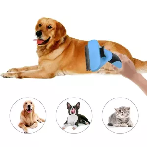 Nerezový kartáč pro domácí mazlíčky - dvoustranný, čistící na vlasy, velikost: malá (modrá) TopTechnology Nerezový kartáč pro domácí mazlíčky - dvoustranný, čistící na vlasy, velikost: malá (modrá) TopTechnology