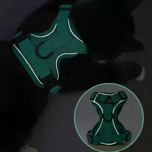 Pet Vest Hrudní Popruh + Set Vodítko Reflexní Prodyšný Pro Psy a Kočky, Velikost: M (Šedá) TopTechnology Pet Vest Hrudní Popruh + Set Vodítko Reflexní Prodyšný Pro Psy a Kočky, Velikost: M (Šedá) TopTechnology