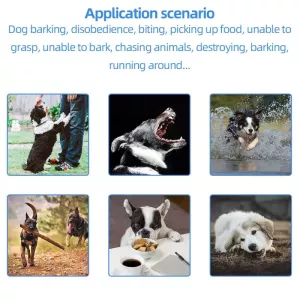 L-818 500M Na výcvik psů - dobíjecí zařízení s dálkovým ovládáním a odhalovačem psího štěkání TopTechnology