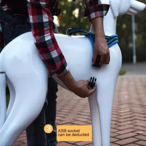 Vodítko a hrudní popruh pro psy A7 – reflexní polyester, velikost S (modrá) TopTechnology Vodítko a hrudní popruh pro psy A7 – reflexní polyester, velikost S (modrá) TopTechnology