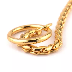 Zlatý kovový obojek pro psy 60cm - odolný a módní TopTechnology