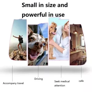 Přenosný batoh pro domácí zvířata - Skládací taška pro psy, střední (zelená) TopTechnology Přenosný batoh pro domácí zvířata - Skládací taška pro psy, střední (zelená) TopTechnology