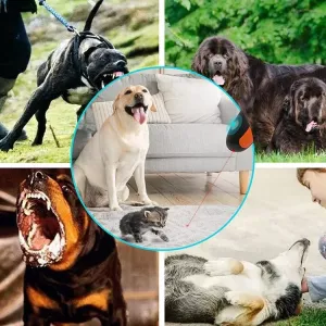 Ultrazvukový trenér pro psy - přenosné elektronické zařízení (oranžová) TopTechnology Ultrazvukový trenér pro psy - přenosné elektronické zařízení (oranžová) TopTechnology