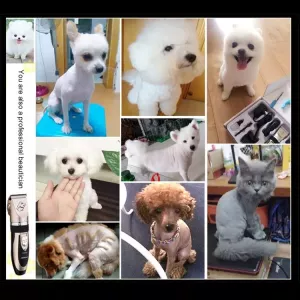 P2 110-240V Profesionální elektrické nůžky na srst pro domácí mazlíčky s keramickými titanovými čepelemi a čtyřmi hřebeny TopTechnology P2 110-240V Profesionální elektrické nůžky na srst pro domácí mazlíčky s keramickými titanovými čepelemi a čtyřmi hřebeny TopTechnology