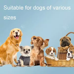 Inteligentní elektronická zařízení pro výcvik psů s dálkovým ovládáním, styl: T700 TopTechnology