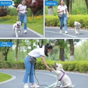 MOVEPEAK Taška na pamlsky pro domácí zvířata - tréninková taška na pás(Šedá) TopTechnology MOVEPEAK Taška na pamlsky pro domácí zvířata - tréninková taška na pás(Šedá) TopTechnology