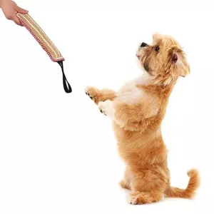 Hemp Bite Stick pro psy - Pomůcka pro školení psů (A3)