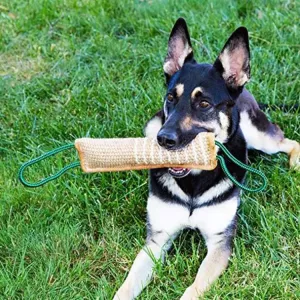 Hemp Bite Stick pro psy - Pomůcka pro školení psů (A3)