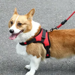 K9 Dog Adjustable Chest Strap Velikost: L (Zelená)
