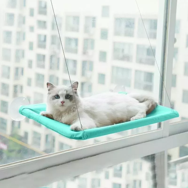 Závěsný odpočinkový houpací síť pro kočky s přísavkami (Zelená) TopTechnology