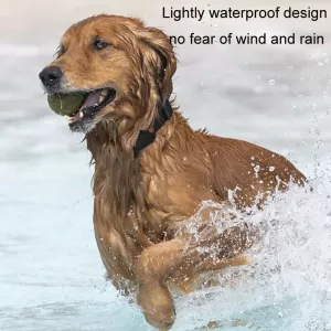 Mfi Certifikovaný inteligentní lokalizátor domácích zvířat s silikonovým obojkem (černý) TopTechnology Mfi Certifikovaný inteligentní lokalizátor domácích zvířat s silikonovým obojkem (černý) TopTechnology