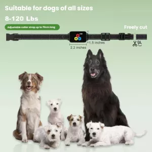 Ovladač na dálku pro výcvik psů s barevným displejem (1 set) TopTechnology Ovladač na dálku pro výcvik psů s barevným displejem (1 set) TopTechnology