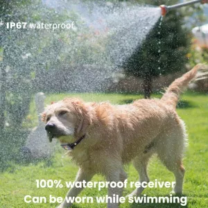 Ovladač na dálku pro výcvik psů s barevným displejem (1 set) TopTechnology Ovladač na dálku pro výcvik psů s barevným displejem (1 set) TopTechnology