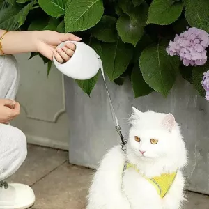 Retrakční vodítko pro psy malých a středních plemen, bez zamotání, 5m (Bílé) TopTechnology