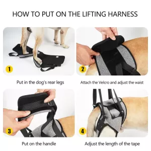 Auxiliární popruh pro zadní nohy psa - dekompresní cestovní pás pro starší a zraněné psy, velikost: M TopTechnology