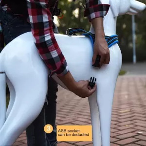 Hrudní popruh pro psy A7 s reflexními prvky - velikost XS (Zelený) TopTechnology Hrudní popruh pro psy A7 s reflexními prvky - velikost XS (Zelený) TopTechnology