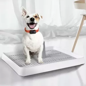 Kryté záchodové toalety pro psy - Open Type, rozměr: 38.3x30.9cm TopTechnology Kryté záchodové toalety pro psy - Open Type, rozměr: 38.3x30.9cm TopTechnology