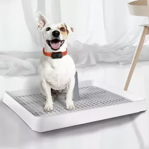 Otevřený typ toalety pro psy - Pet Supplies, rozměr: 57.2x45.5cm TopTechnology Otevřený typ toalety pro psy - Pet Supplies, rozměr: 57.2x45.5cm TopTechnology