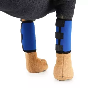 Ochranný obal na koleno pro psy - S (modré odražení) TopTechnology Ochranný obal na koleno pro psy - S (modré odražení) TopTechnology