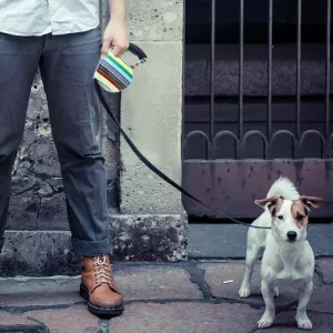 5m Retrakční Flexibilní Vodítko pro Psy (Styl Barevných Pruhů) TopTechnology 5m Retrakční Flexibilní Vodítko pro Psy (Styl Barevných Pruhů) TopTechnology