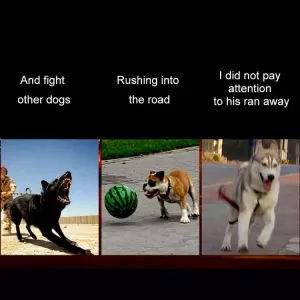 Obojek pro střední a velké psy s LED světlem - solární + USB nabíjení (Žlutý, obvod krku: L, 50-60cm) TopTechnology Obojek pro střední a velké psy s LED světlem - solární + USB nabíjení (Žlutý, obvod krku: L, 50-60cm) TopTechnology