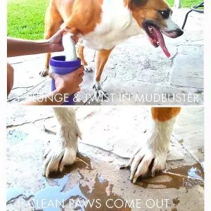 Pet Antiseptic Products Silicone Wash Feet Cleaning Cup Size: S (Zelený) TopTechnology