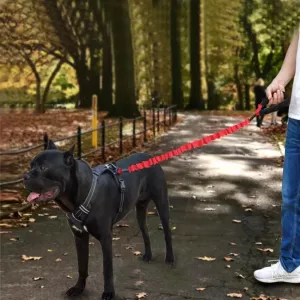 HCPET vodítko pro psy s vysokou elasticitou, délka 120 cm (černé) TopTechnology HCPET vodítko pro psy s vysokou elasticitou, délka 120 cm (černé) TopTechnology