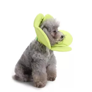 Obojek pro psy s květinovým vzorem - Pet Protection, velikost S (zelená) TopTechnology Obojek pro psy s květinovým vzorem - Pet Protection, velikost S (zelená) TopTechnology